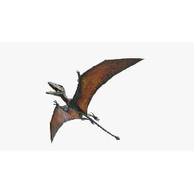 Dimorphodon model